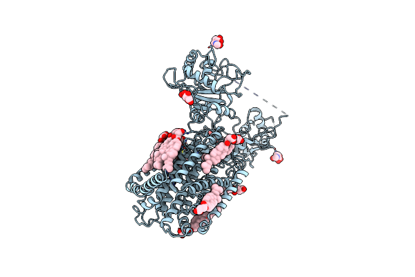 7E2G image
