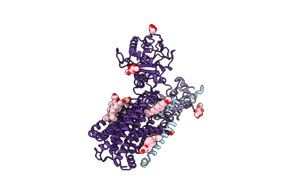7E2H image