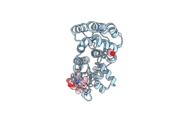 7E2S image