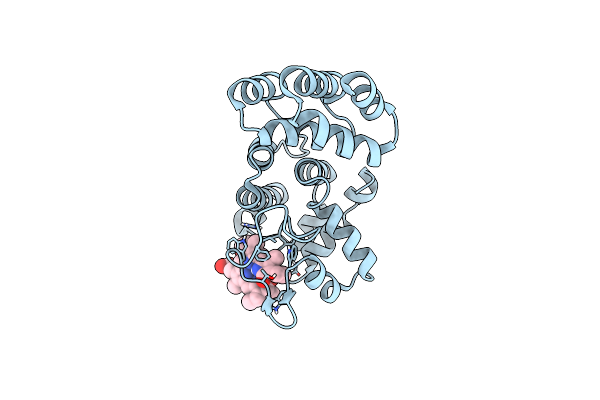 7E2T image
