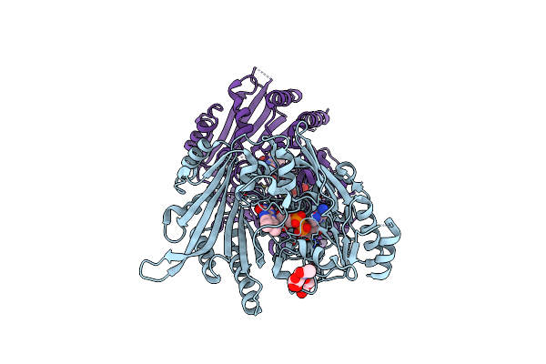 7E2V image