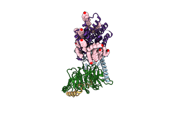 7E2X image