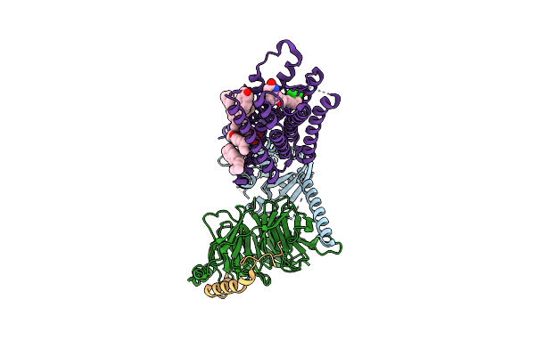 7E2Z image