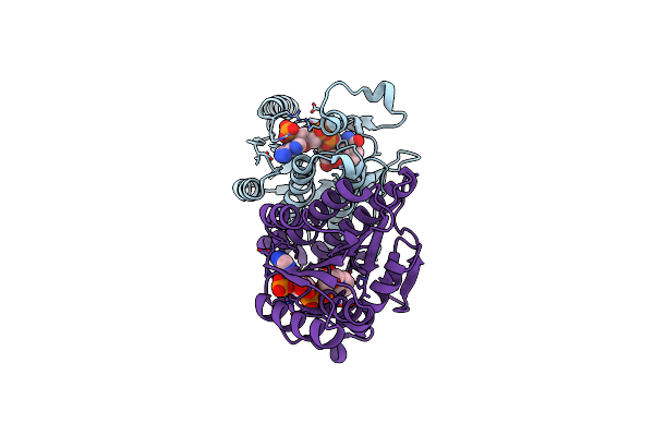 7E3X image