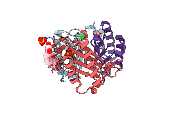7E4C image