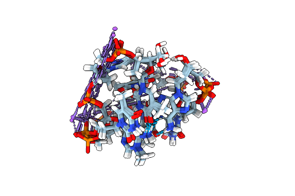 7E4E image