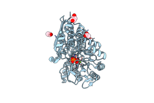 7E4F image