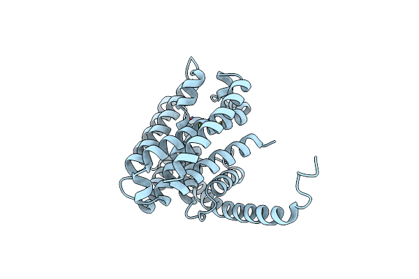 7E4N image