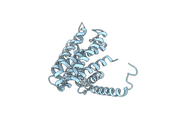 7E4O image