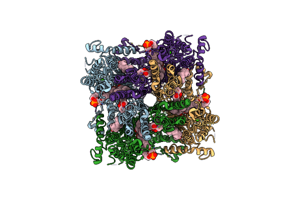 7E4T image