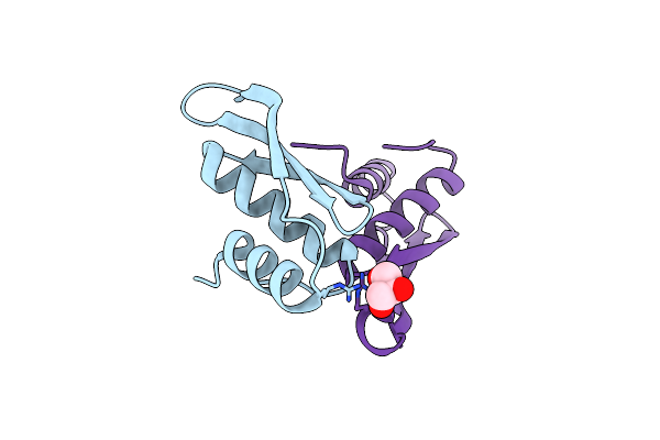 7E4V image