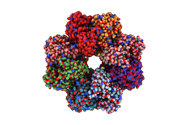 7E4X image