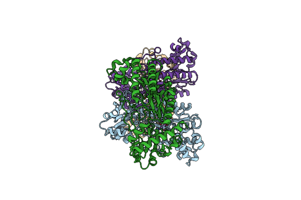 7E5C image