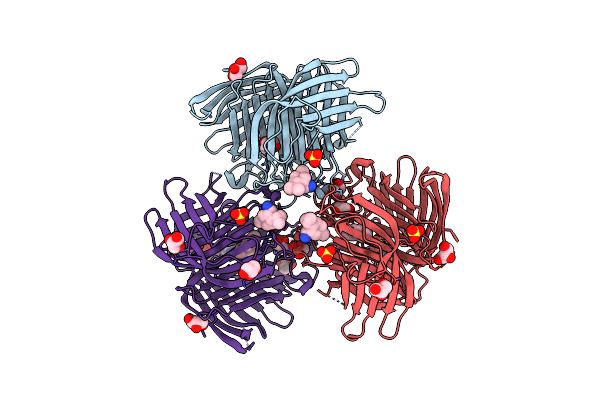 7E5V image