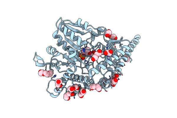 7E6C image