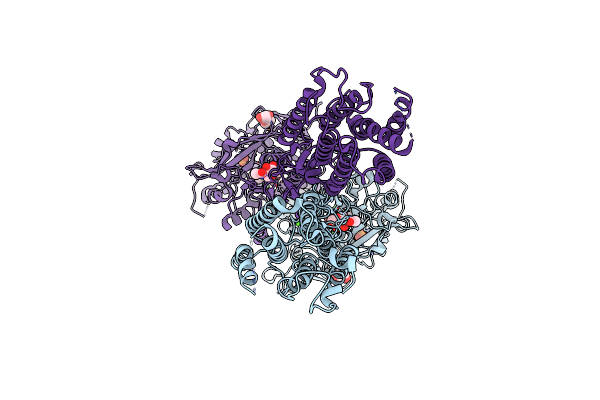 7E6T image