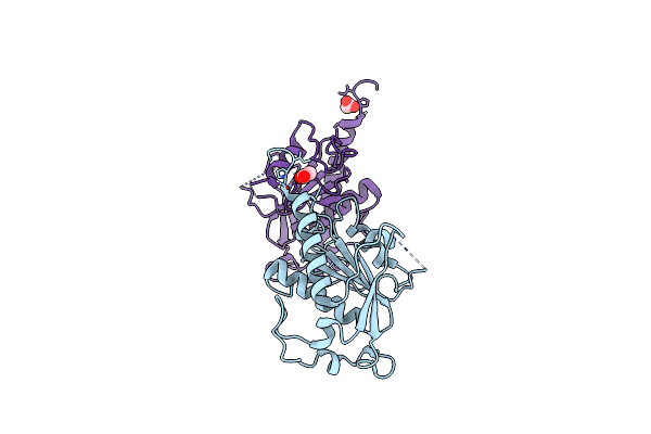 7E6V image