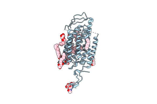 7E6X image