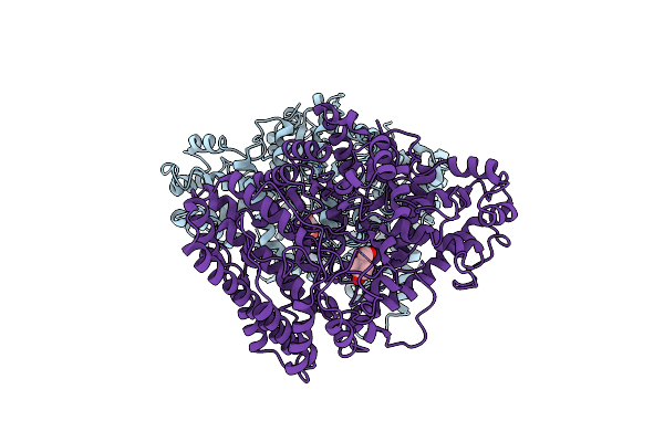 7E7L image