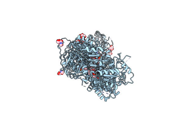 7E7O image