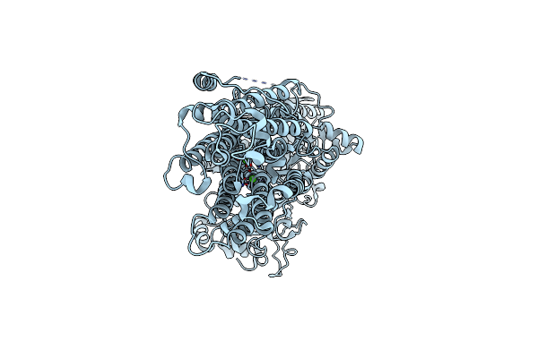 7E7S image