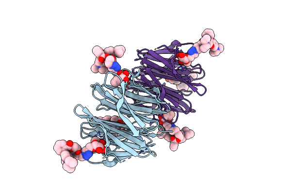 7E7T image
