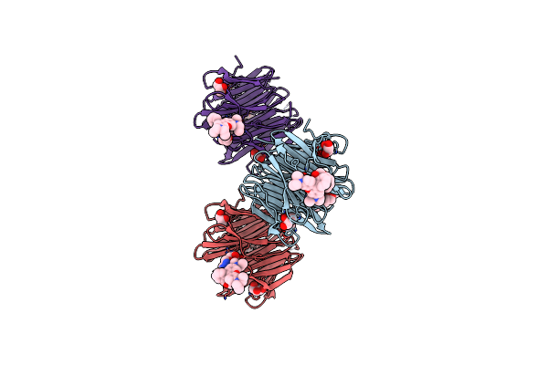 7E7V image