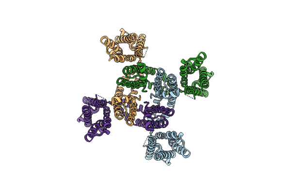 7E7Z image