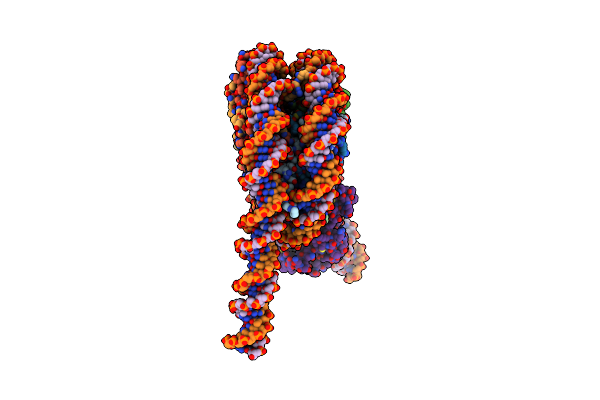 7E8D image