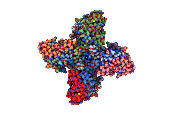 7E8E image