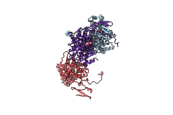 7E8N image