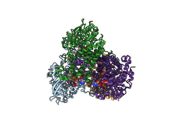 7E8P image