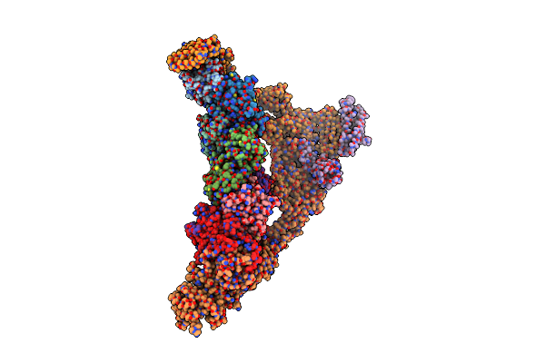 7E8T image