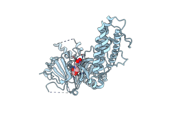 7E8Z image