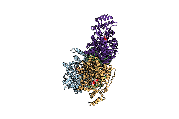 7E9X image