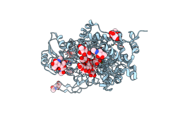 7EAP image