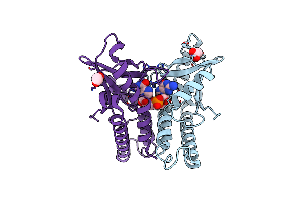 7EBD image