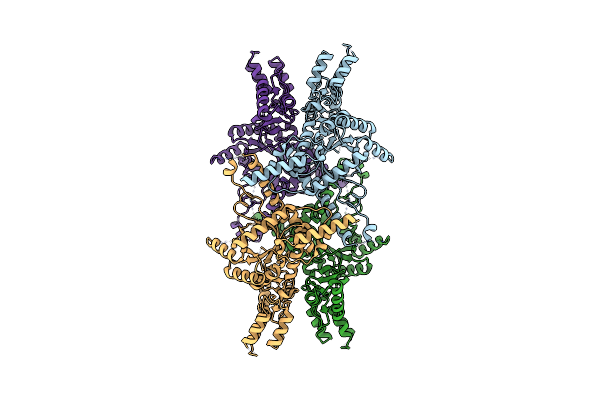 7EBF image