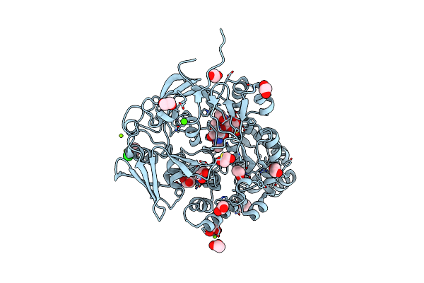 7EBI image