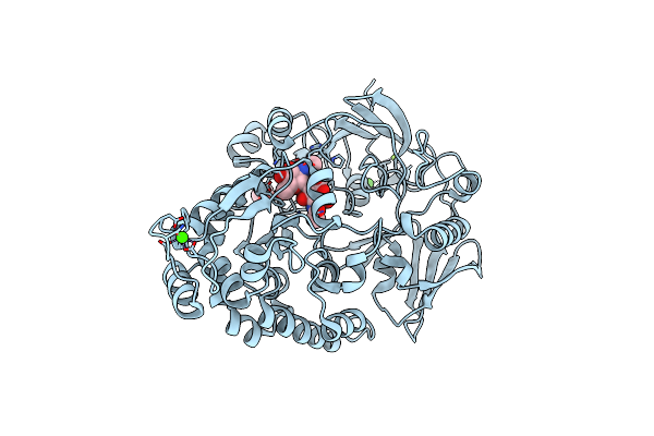 7EBM image