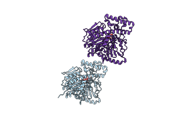 7EBP image