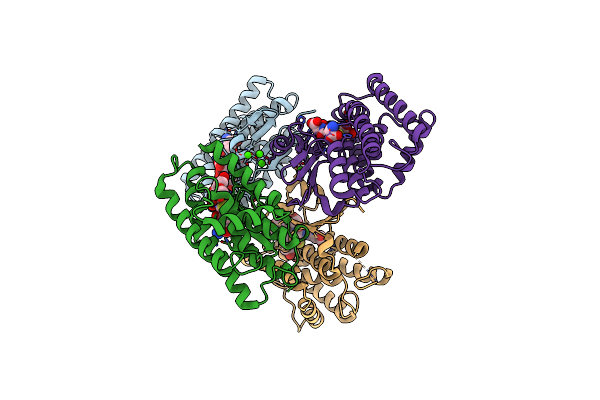 7EBV image