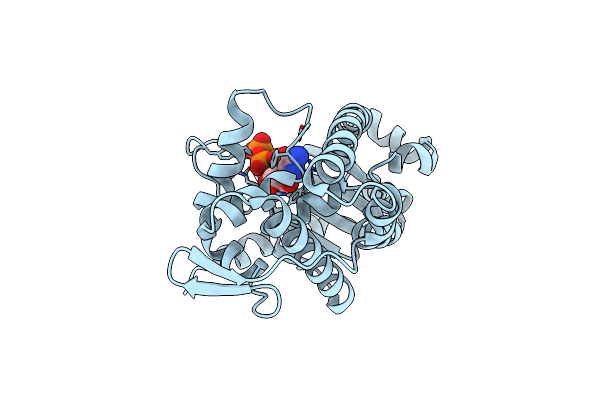 7ECD image