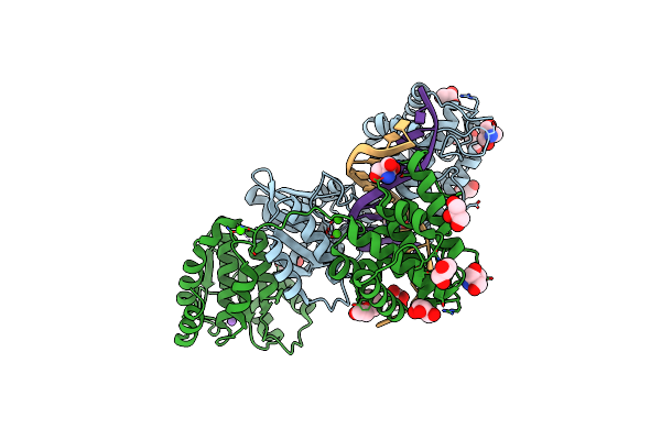 7EDB image