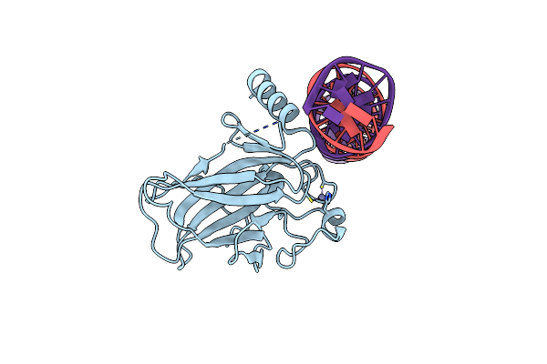 7EDS image