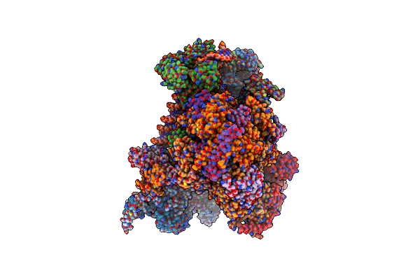 7EDX image
