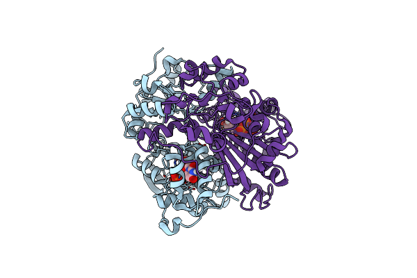 7EEV image