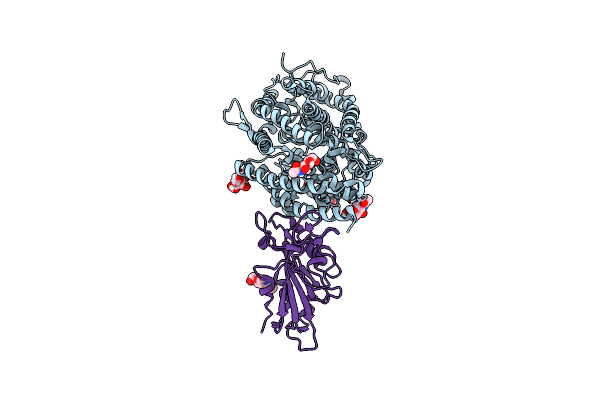 7EFP image