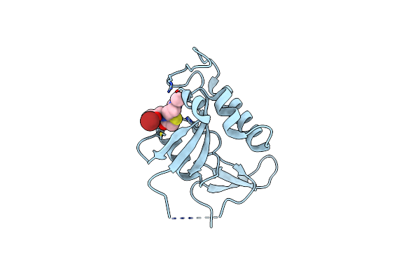 7EFX image