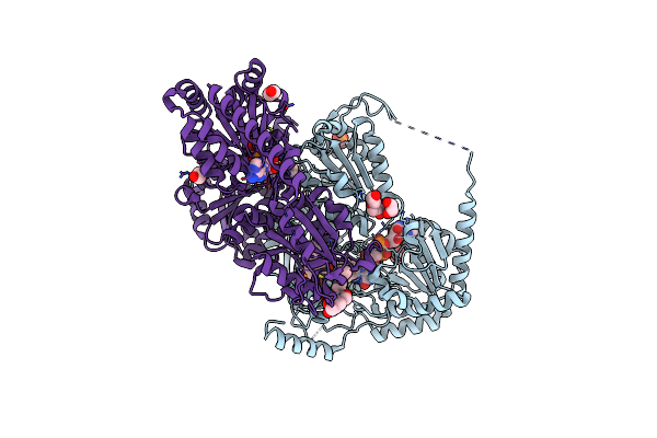 7EGV image